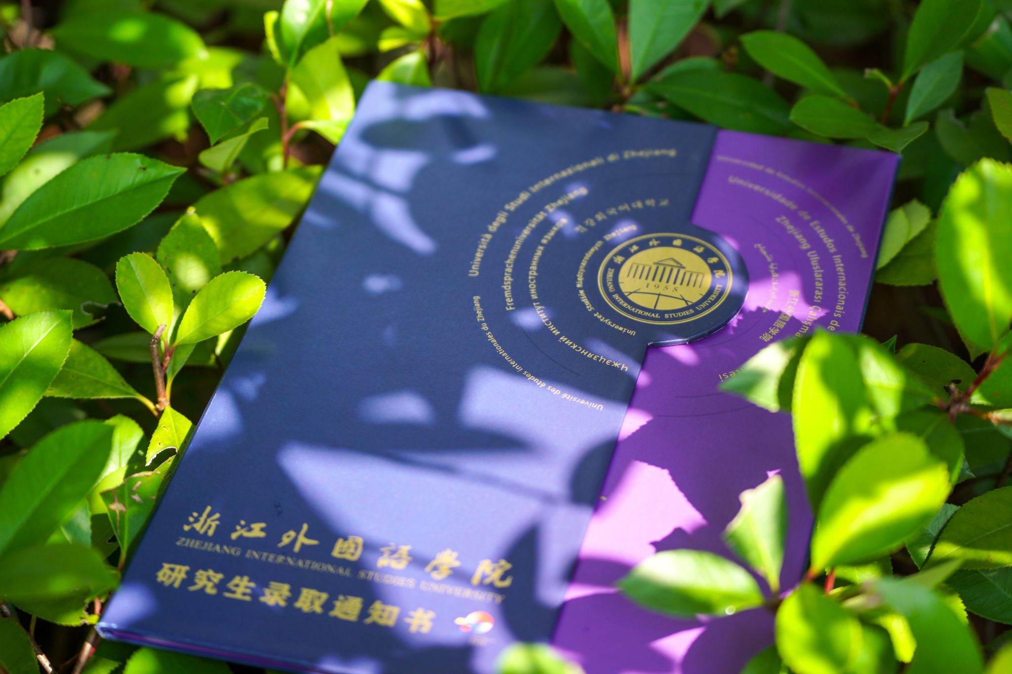 校吉祥娱乐网站手机版登录书记